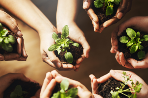 Inserir um subtítulo