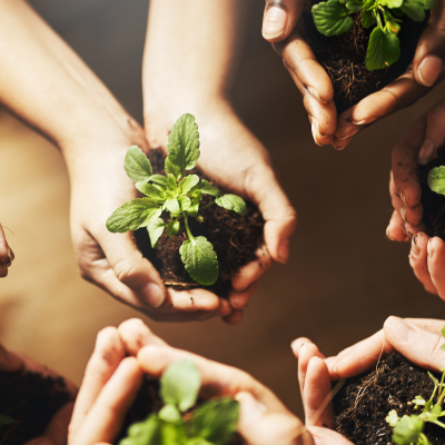 Inserir um subtítulo