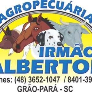 irmaos-alberton